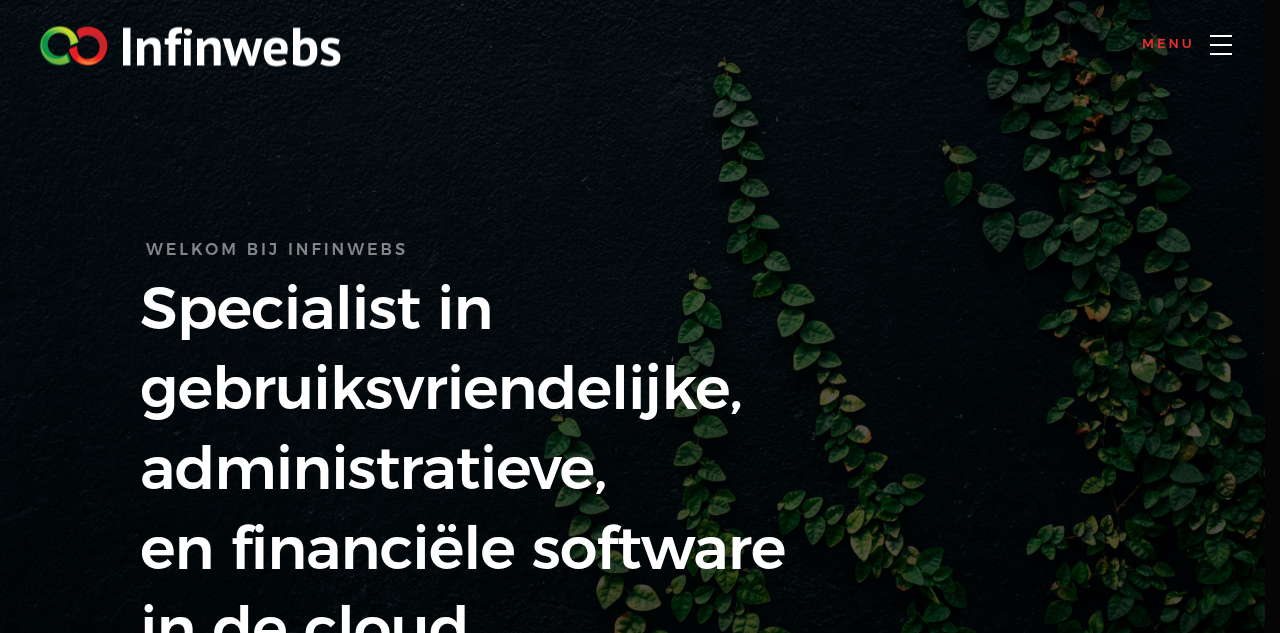 Homepage of Infinwebs
